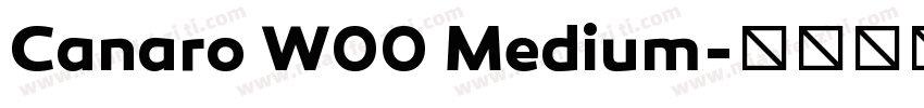 Canaro W00 Medium字体转换